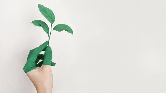 A Guide to Sustainable Behaviours