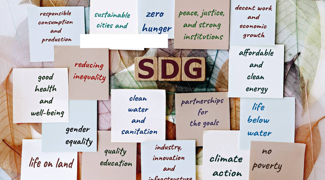 Do We Need Sustainable Development Goals?