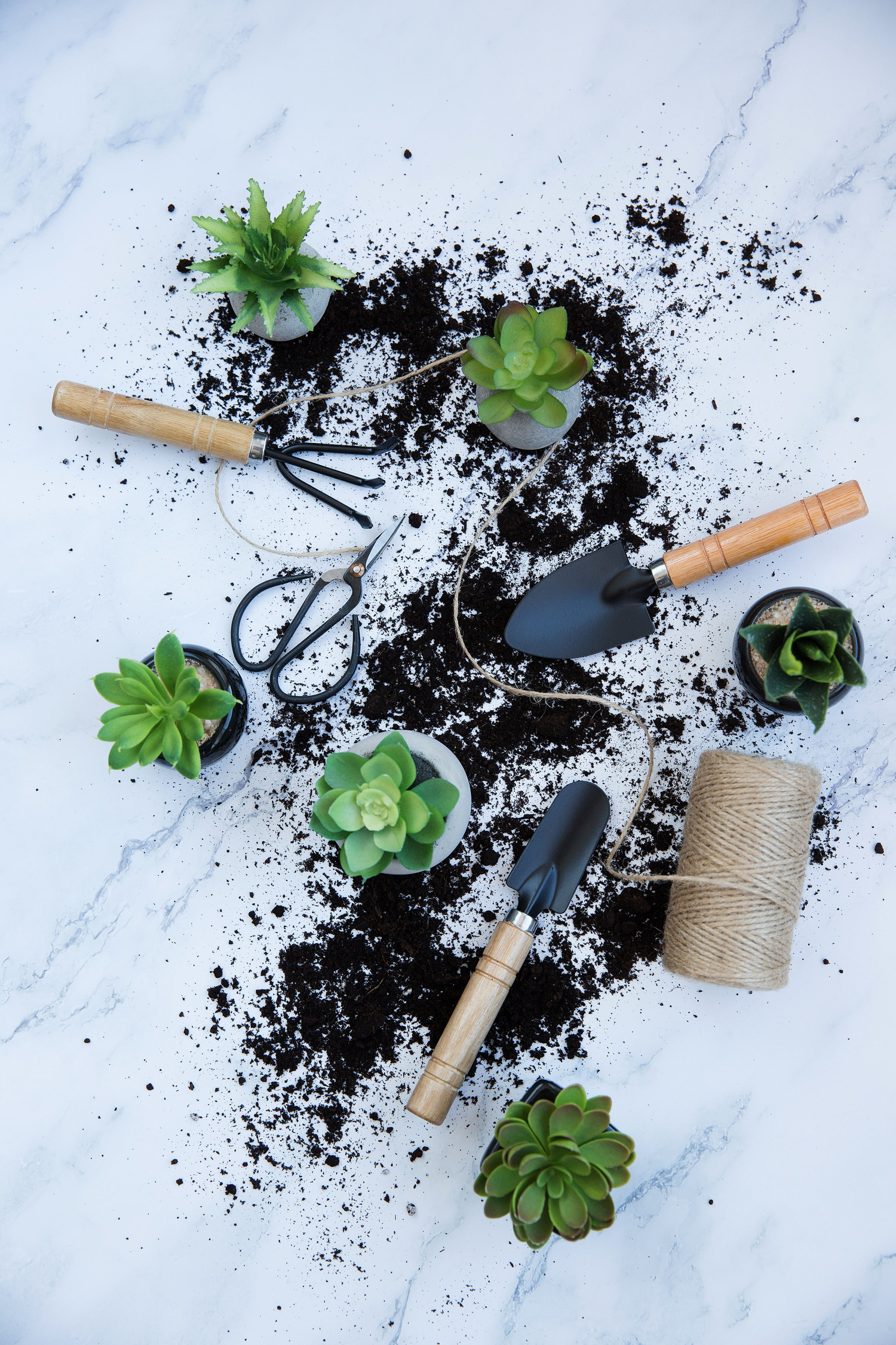 Messy gardening scene wiht plants and tools