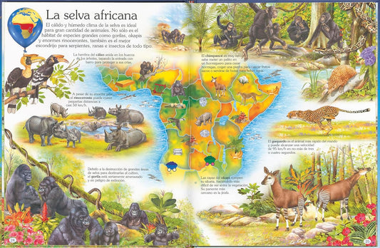 Illustrated book page about African savanna animals with colorful depictions of various species.