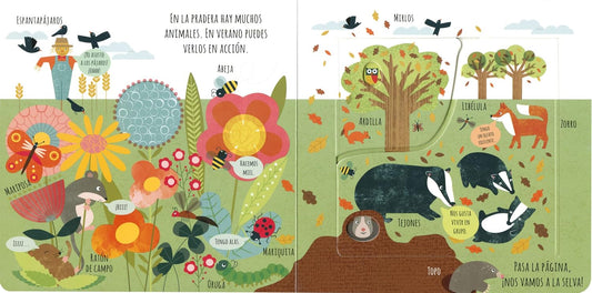 Animales salvajes (Asómate dentro)