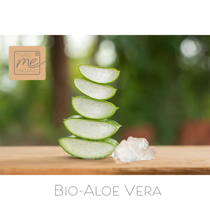 Stacked fresh organic aloe vera slices with gel on a wooden surface promoting Anti Aging Lip Care Stick