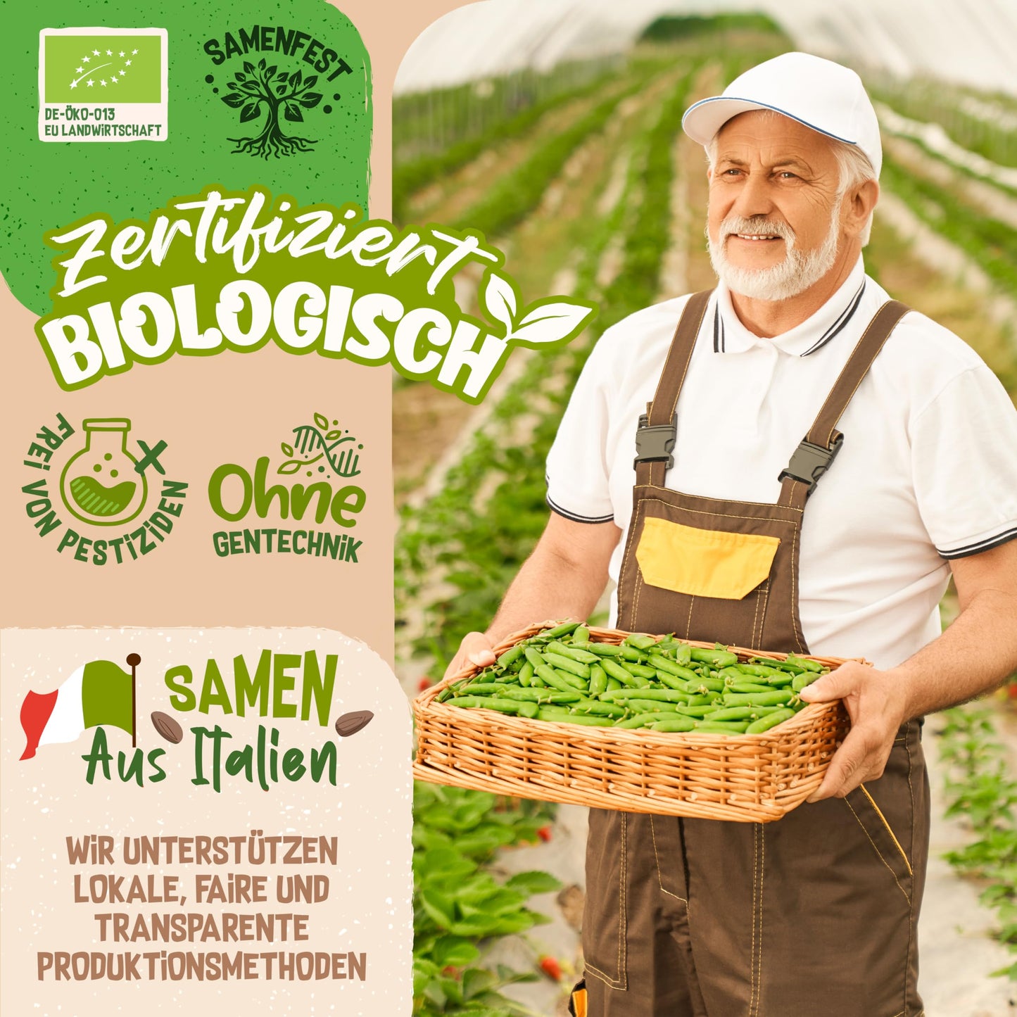 Smiling farmer in a field holding a basket of organic peas, promoting certified seeds free from pesticides and GMOs.