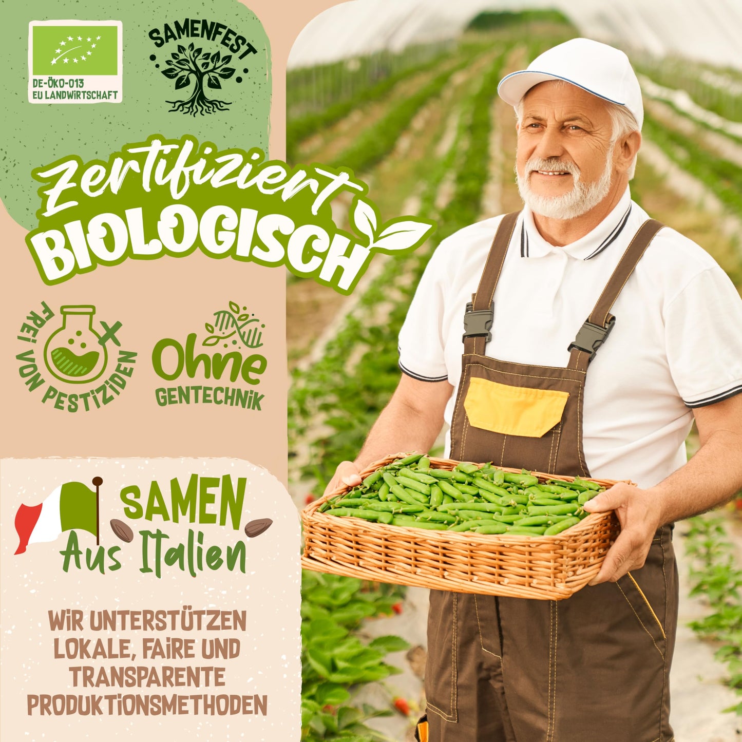Smiling farmer in a field holding a basket of organic peas, promoting certified seeds free from pesticides and GMOs.