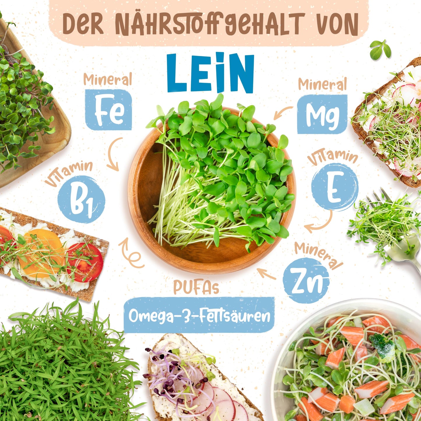 Nutrient-rich flax microgreens: source of iron, magnesium, zinc, B1, E, and omega-3 fatty acids for healthy meals.