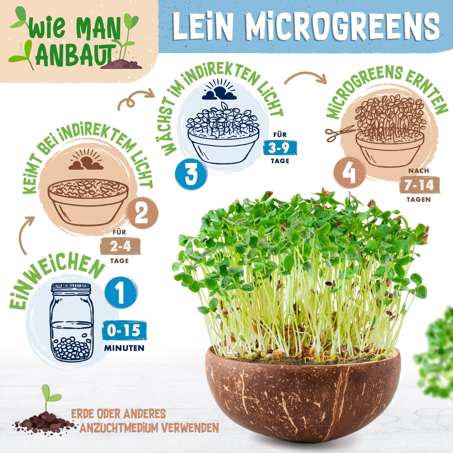 Flax microgreens growing guide: soak, sprout in indirect light, and harvest fresh greens in 7–14 days.