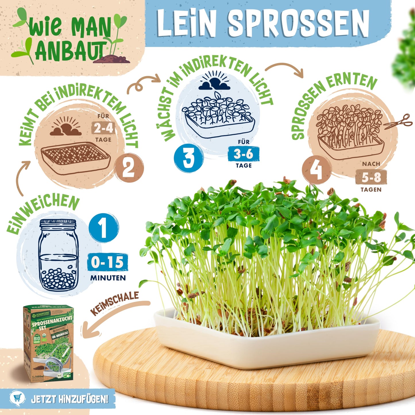 Flax sprouts growing guide: soak briefly, sprout in indirect light, and harvest fresh shoots in 5–8 days.