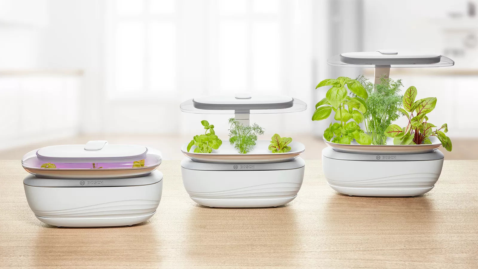 Three Bosch SmartGrow Life indoor gardens showing plant growth stages with LED lighting and hydroponic system