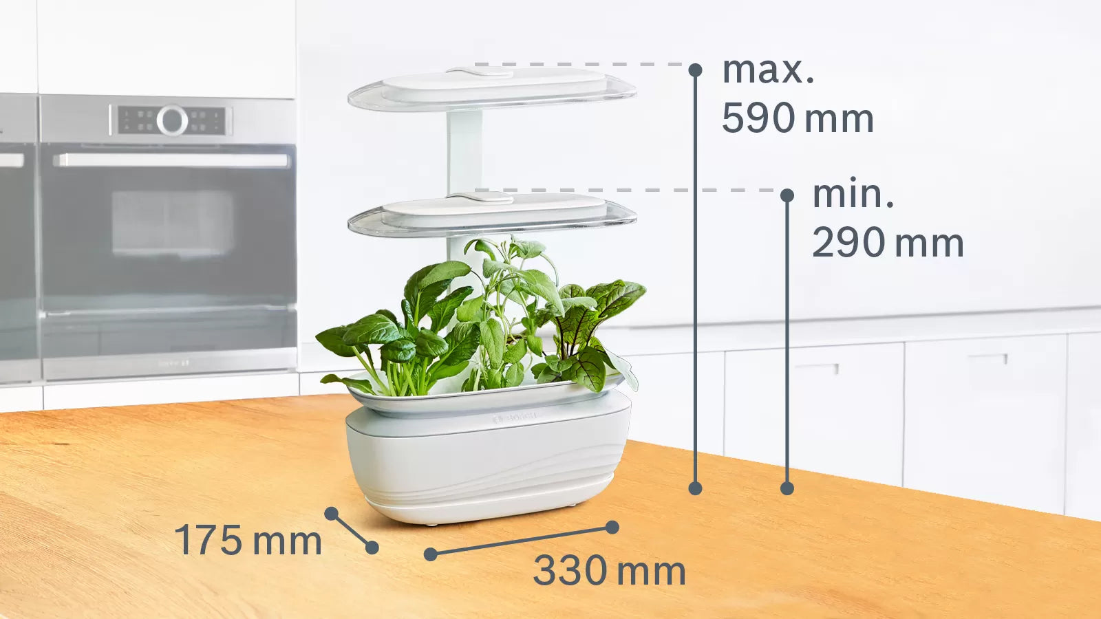 Bosch SmartGrow Life indoor garden with dimensions: 330 mm wide, 175 mm deep, adjustable height from 290 mm to 590 mm