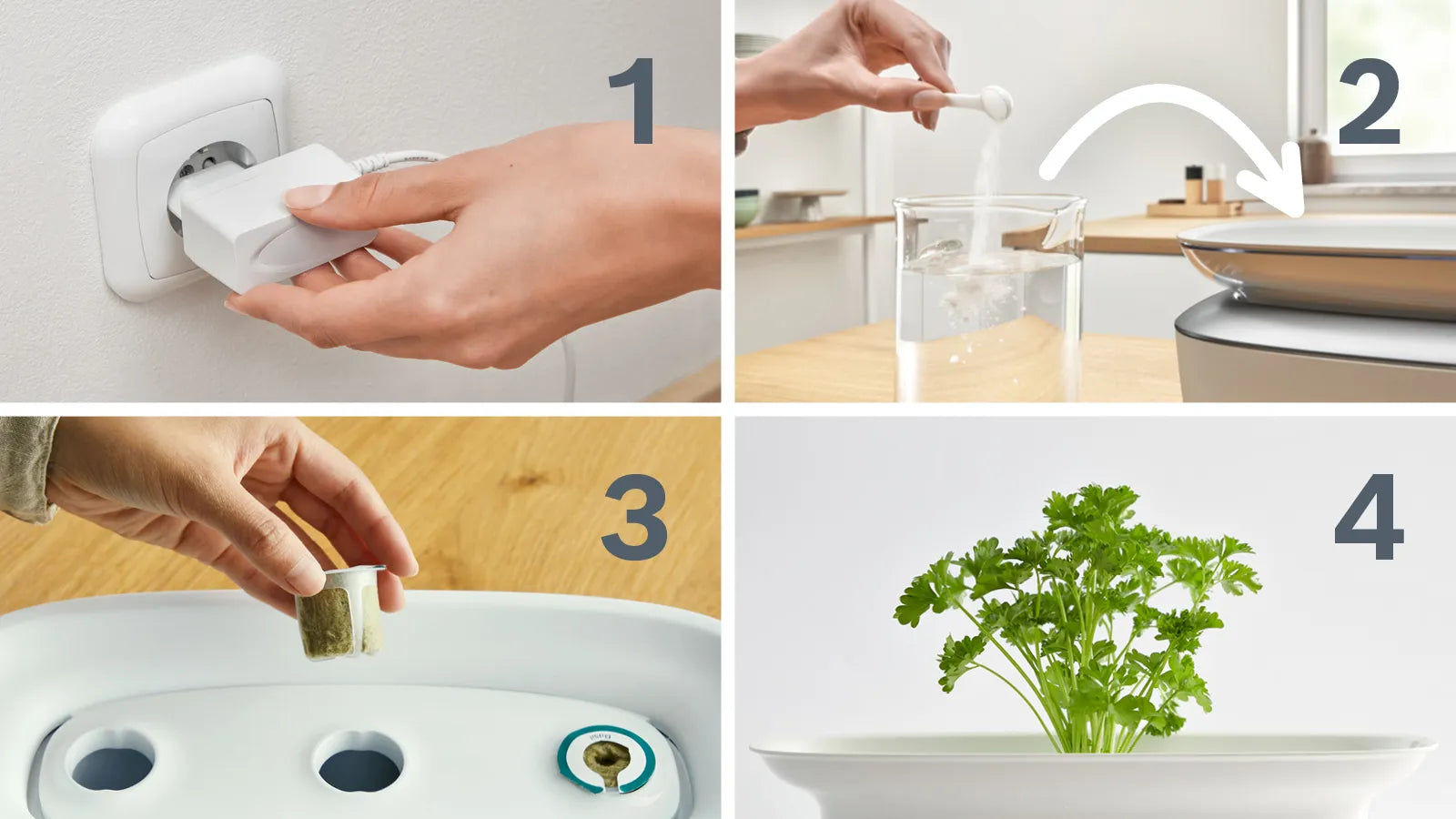 Step-by-step instructions for using the Bosch SmartGrow Life indoor gardening system