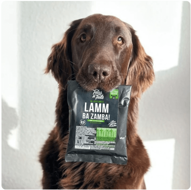 A brown dog holding a black eco-friendly Tales & Tails soft dry dog food pack in its mouth.