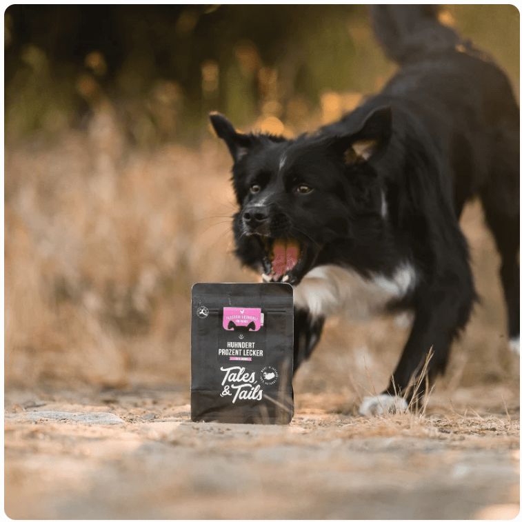 Black and white dog running outdoors with a Tales & Tails soft dog treat pack in its mouth, eco-friendly packaging visible.