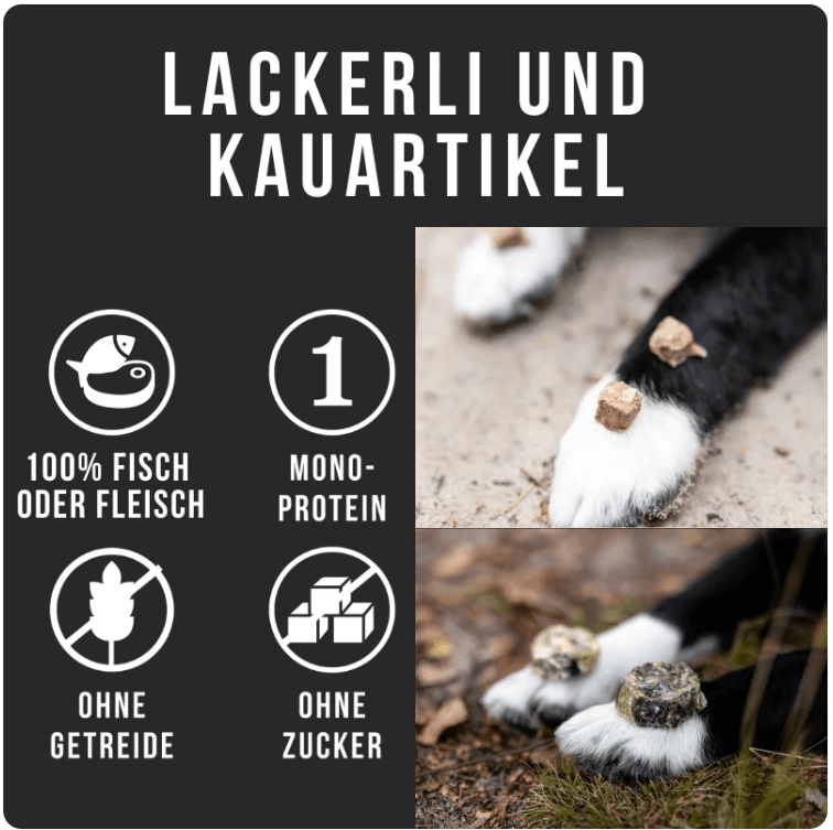 Visual of soft dry dog food from Tales & Tails, highlighting features like mono-protein, grain-free