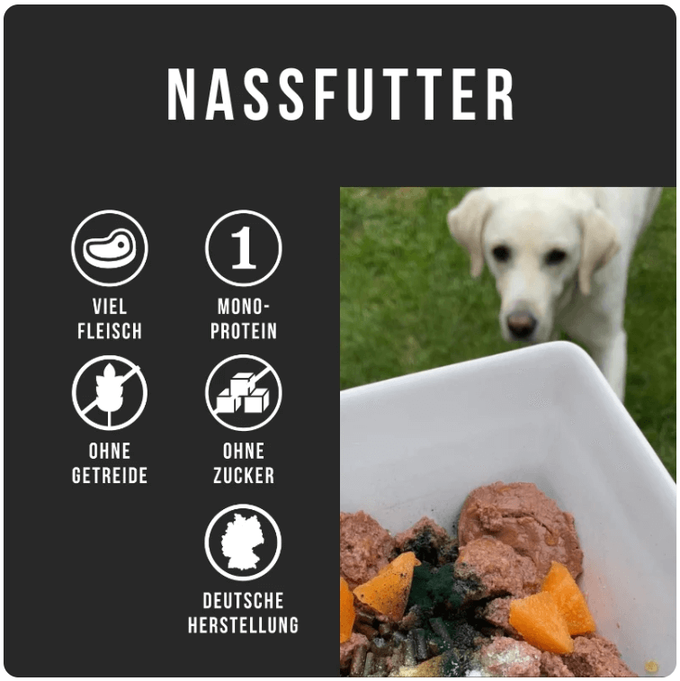 Visual of soft dry dog food from Tales & Tails, highlighting features like mono-protein, grain-free