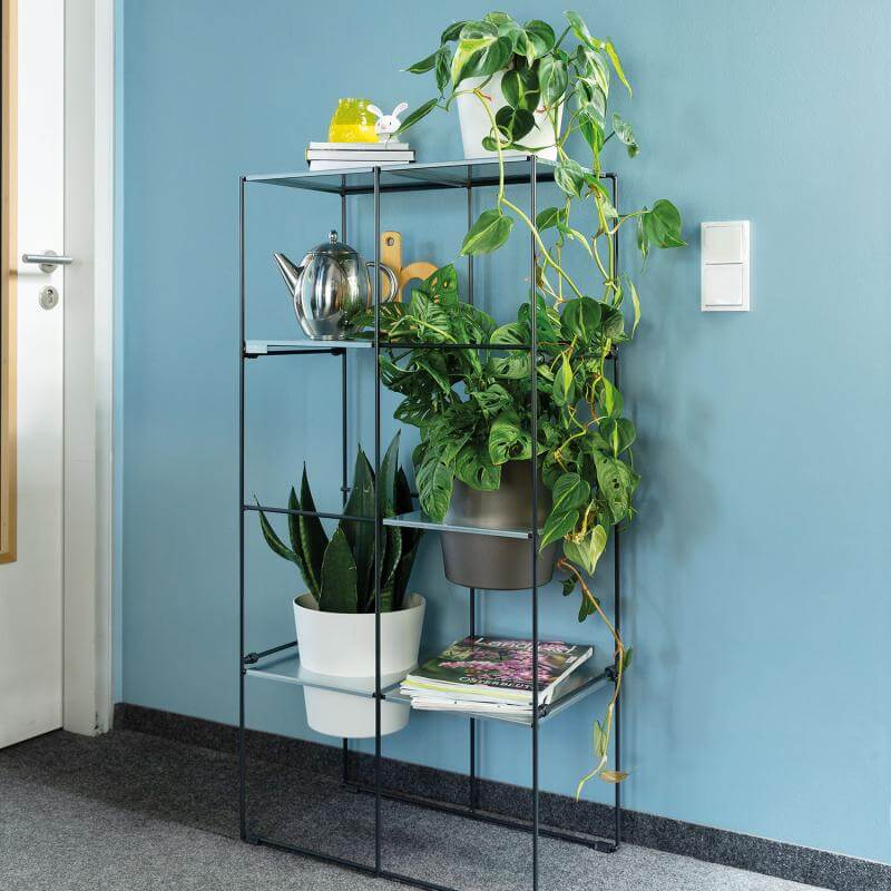 Black metal FILO plant shelf 2x4 with potted greenery, books, and decor against a blue wall