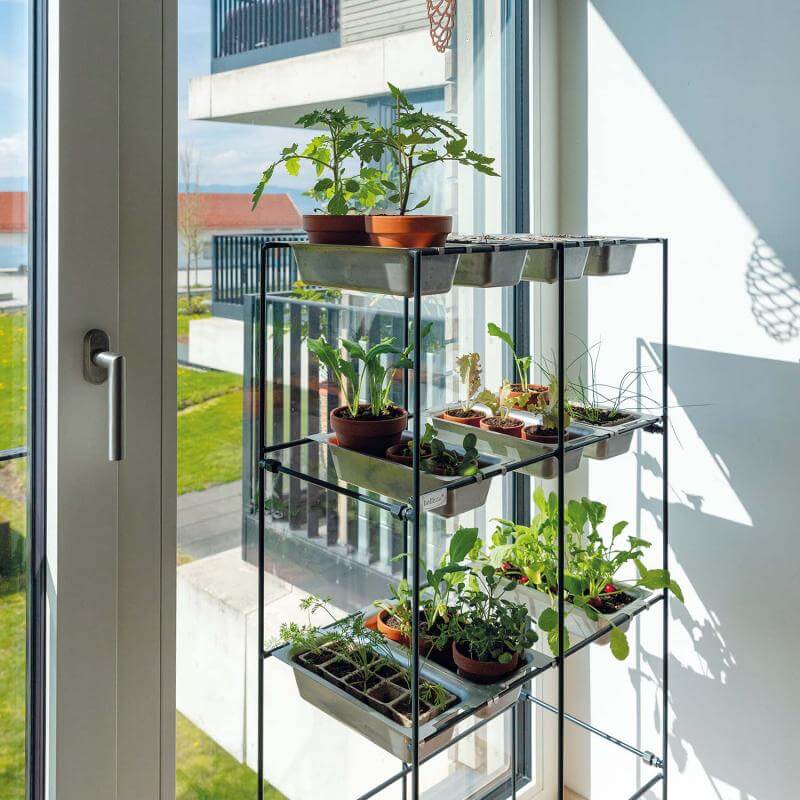 FILO shelf filled with seedlings and herbs in pots, placed by a sunny window in a modern indoor setting.