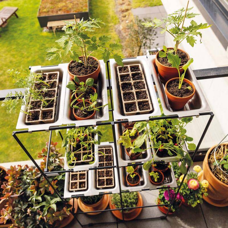 Photo from above of FILO shelf filled with seedlings and herbs in pots, placed by a sunny window in a modern indoor setting.