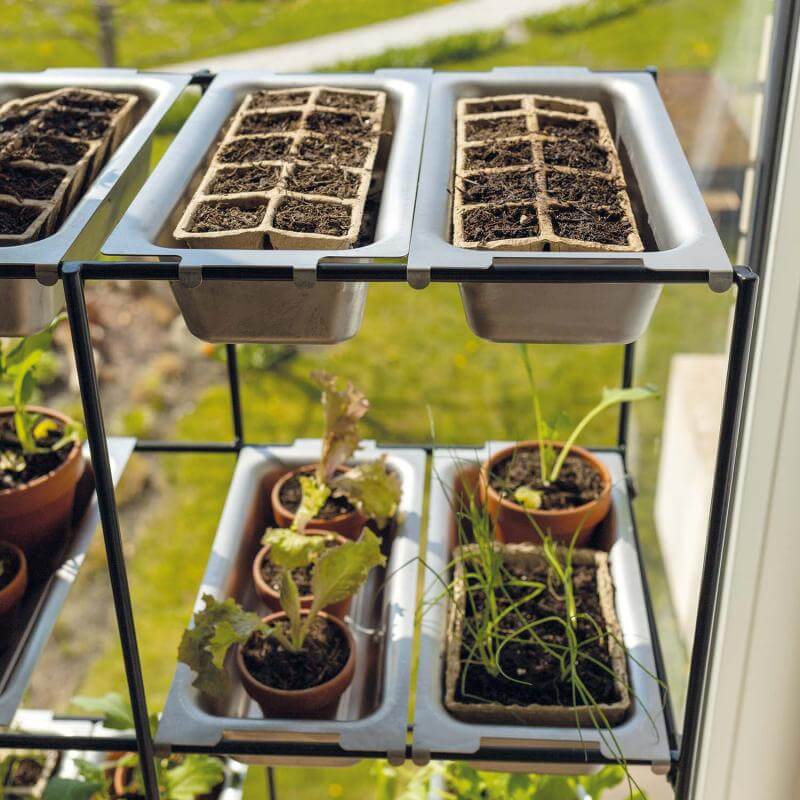 Close-up of FILO shelf filled with seedlings and herbs in pots, placed by a sunny window in a modern indoor setting.