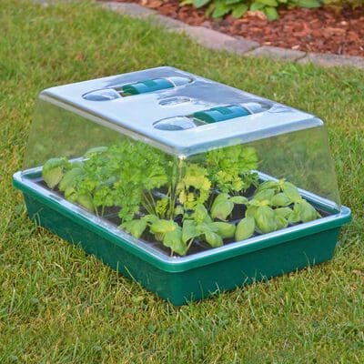 Mini Transparent Greenhouse on grass with herbs inside and a clear lid with vents, perfect for home gardening.