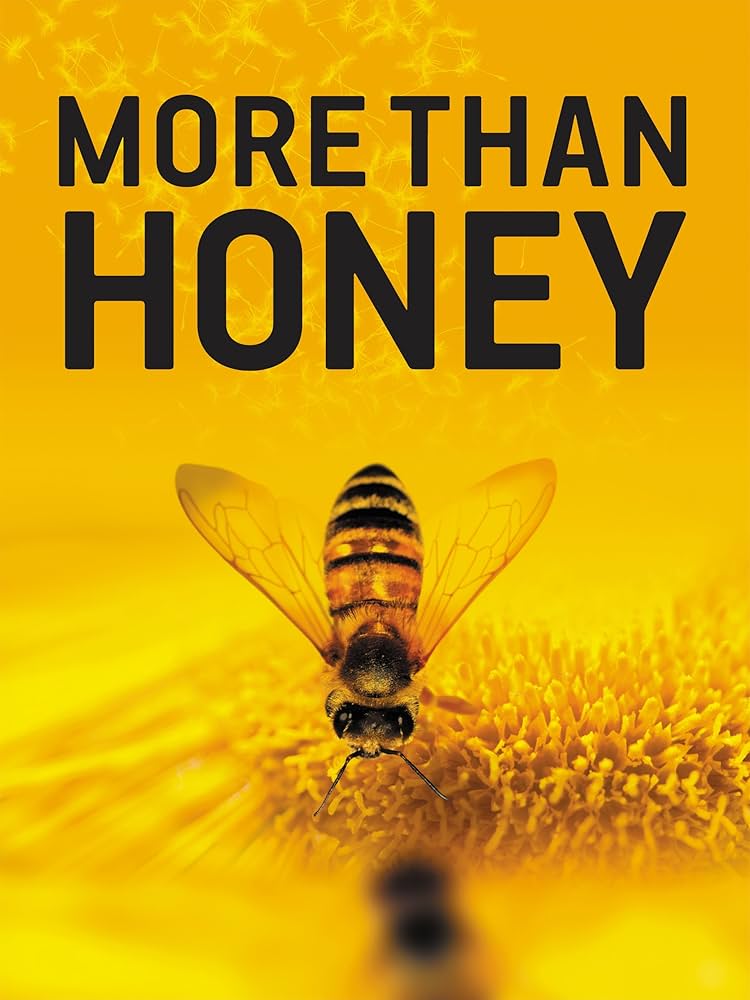 A close-up of a bee on a flower with a yellow background, from the More Than Honey documentary cover