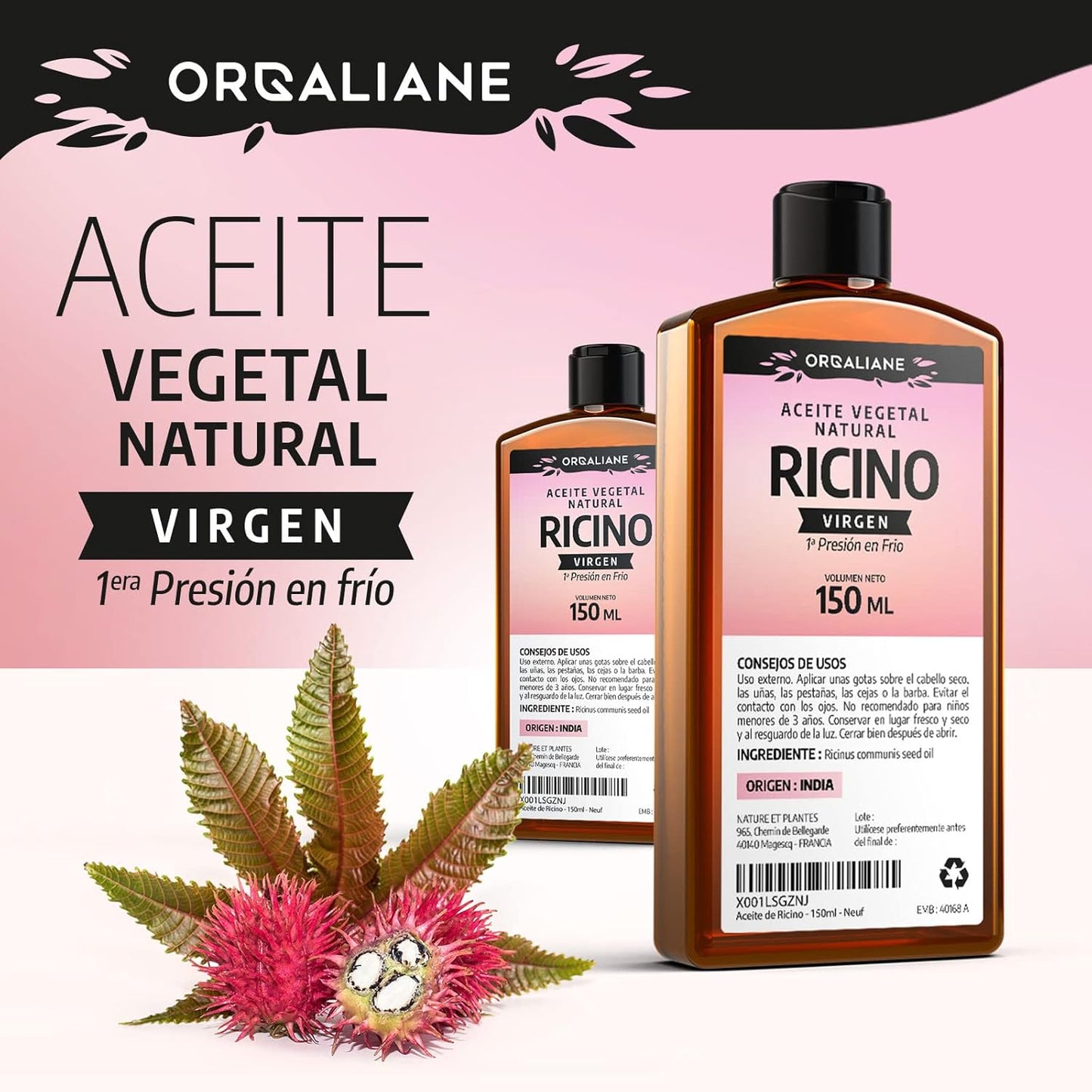 Two bottles of Organic Cold-Pressed Castor Oil shown with castor leaves and seeds