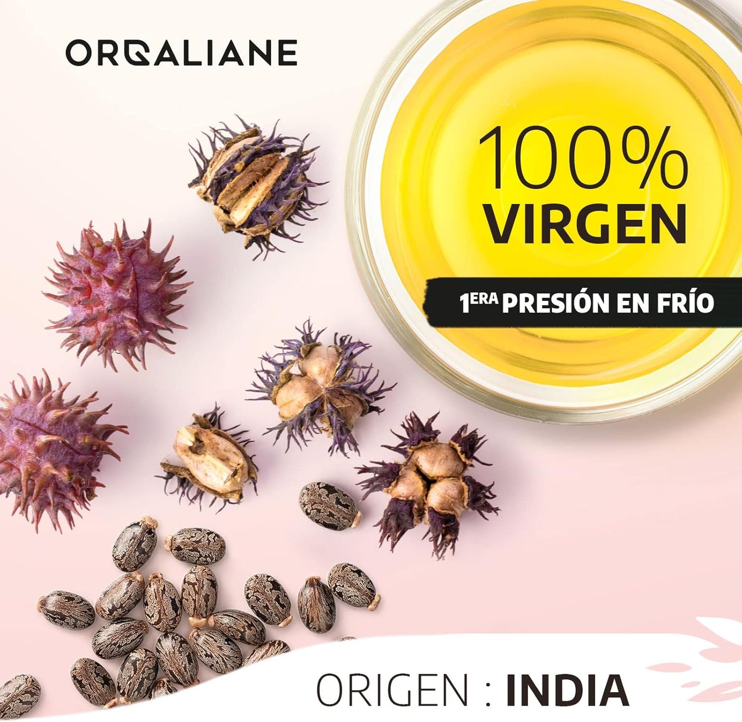 castor seeds and pods from Organic Cold-Pressed Castor Oil