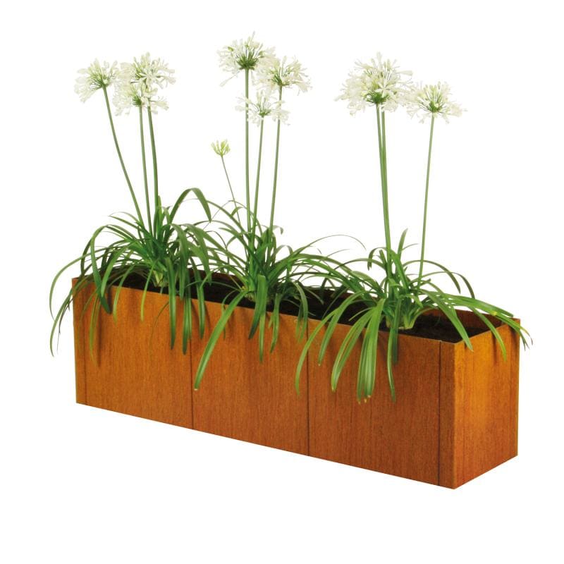 Wooden raised bed kit with tall white flowers, ideal for decorative gardening or balcony use.