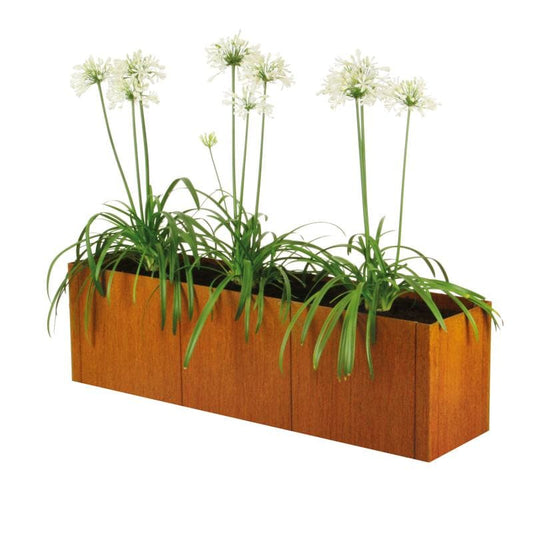 Wooden raised bed kit with tall white flowers, ideal for decorative gardening or balcony use.