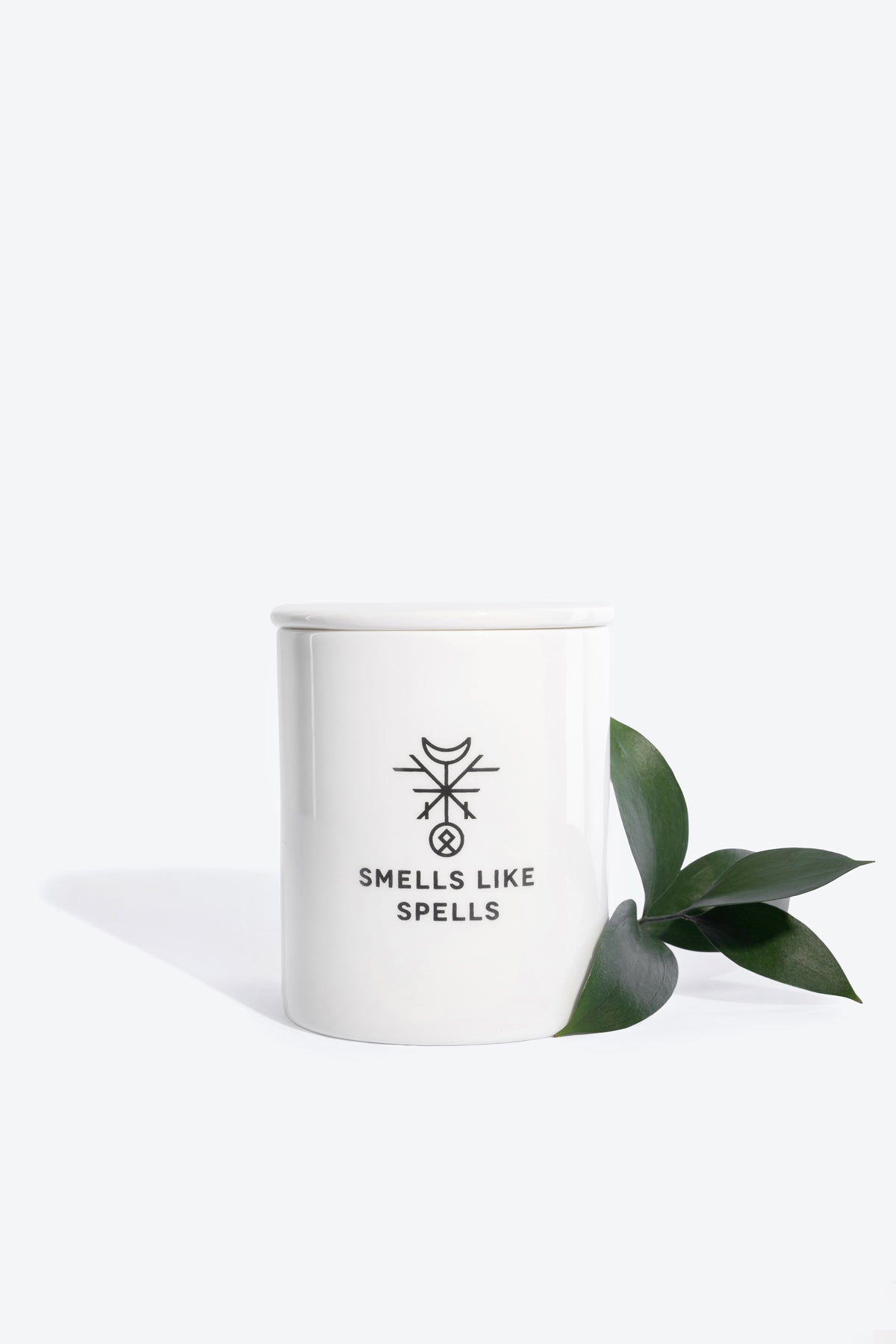 Handmade White Scented Candle with plant, on a white background. For a green home solution