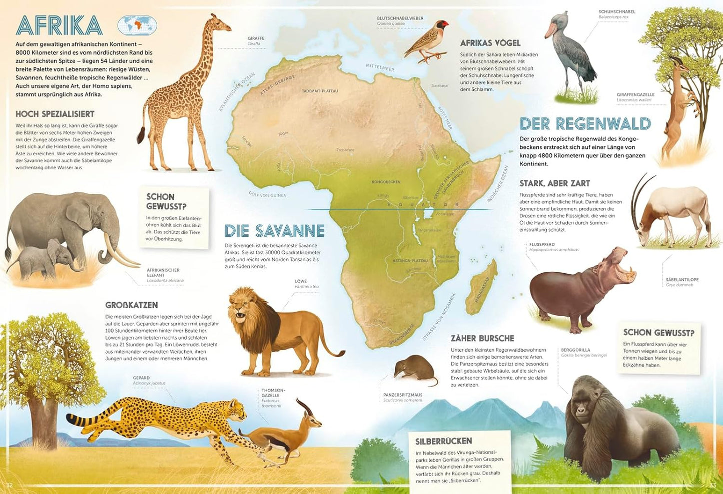 Pädagogisches Poster über die Tierwelt Afrikas mit einer Karte von Afrika und verschiedenen Tieren.