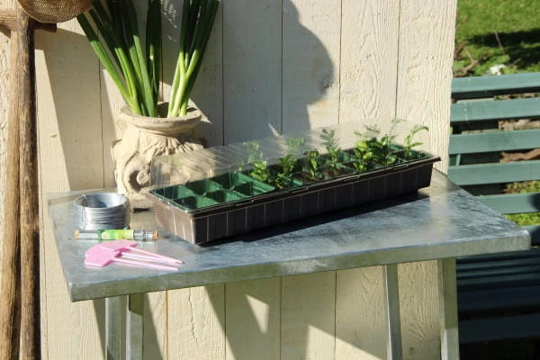 Mini greenhouse on a metal table with seedlings inside, perfect for indoor or windowsill gardening
