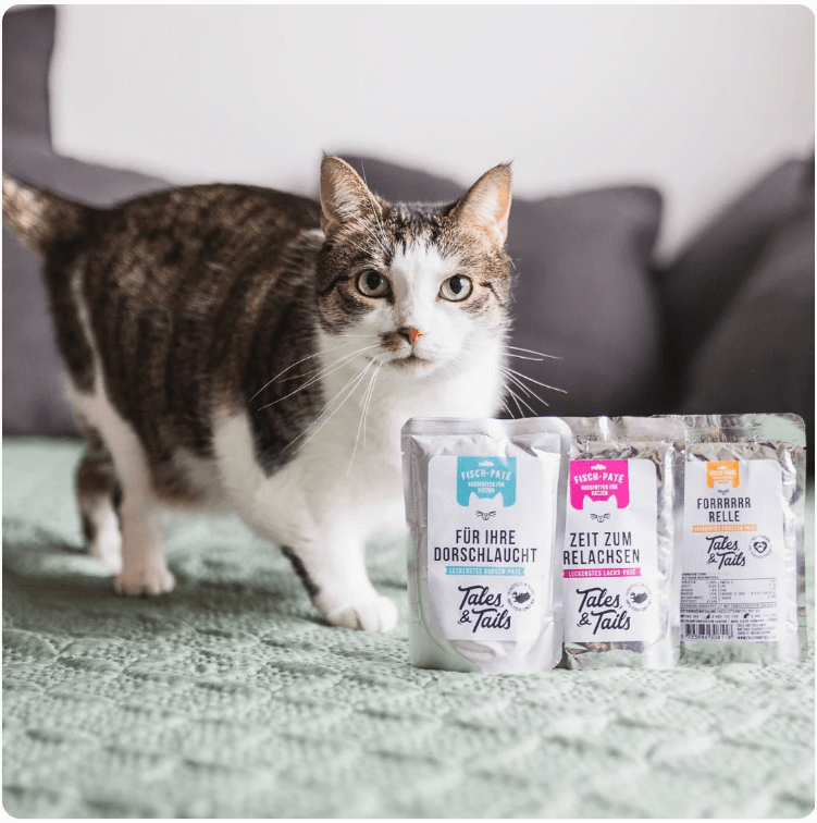 Cat standing by three Tales & Tails cat food pouches. Fish flavors: cod, salmon, trout. Gray couch background.
