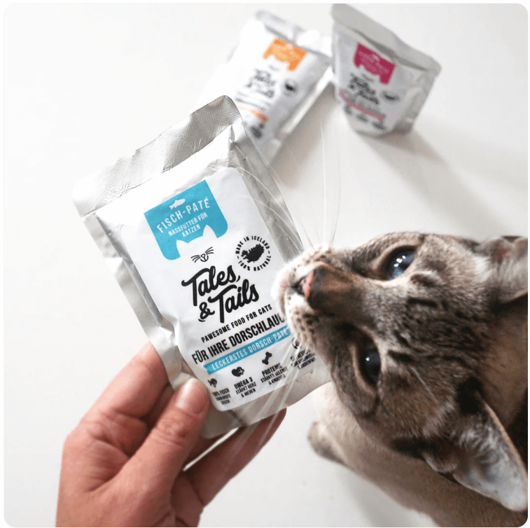 Hand holding Tales & Tails cat food pouch, cat nearby. Other pouches behind