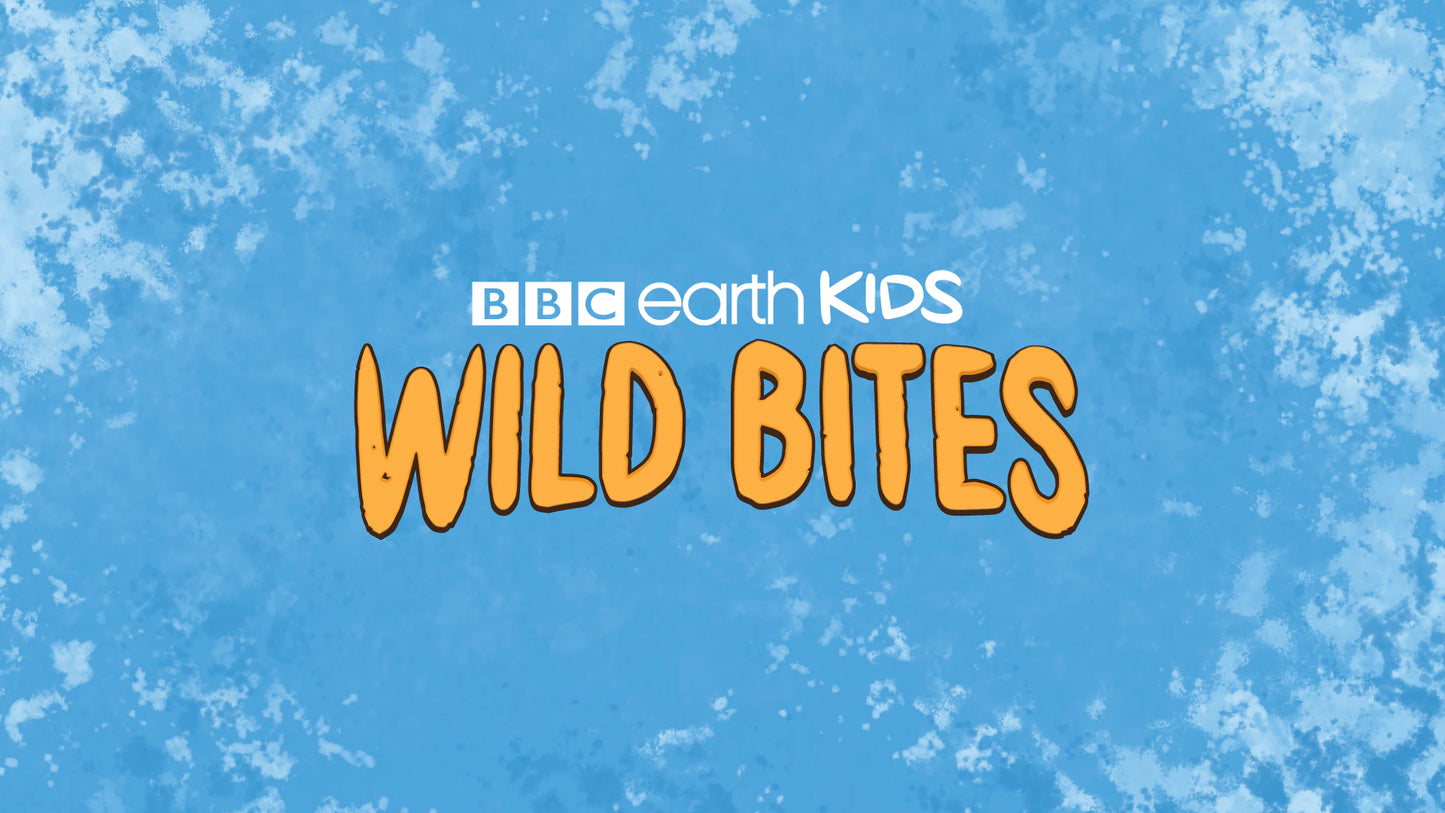 BBC Earth Kids | Wild Bites (YouTube)