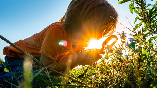 Back to School: How to Create a Sustainability Hub at Home