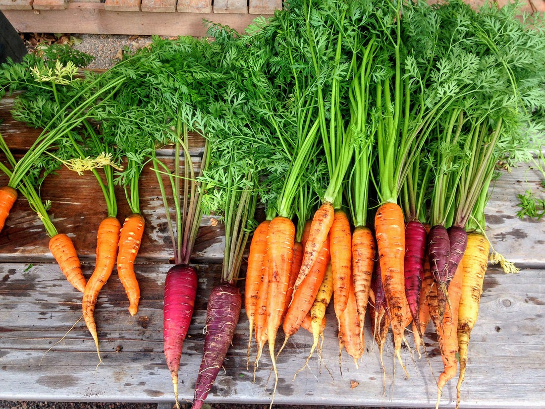 A bunch of carrots with different colours on a wooden table