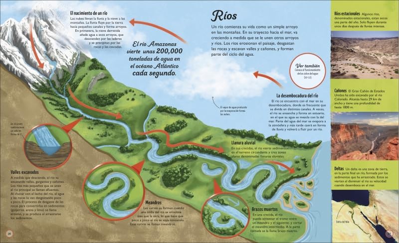 Educational diagram of a river system with labels and illustrations.