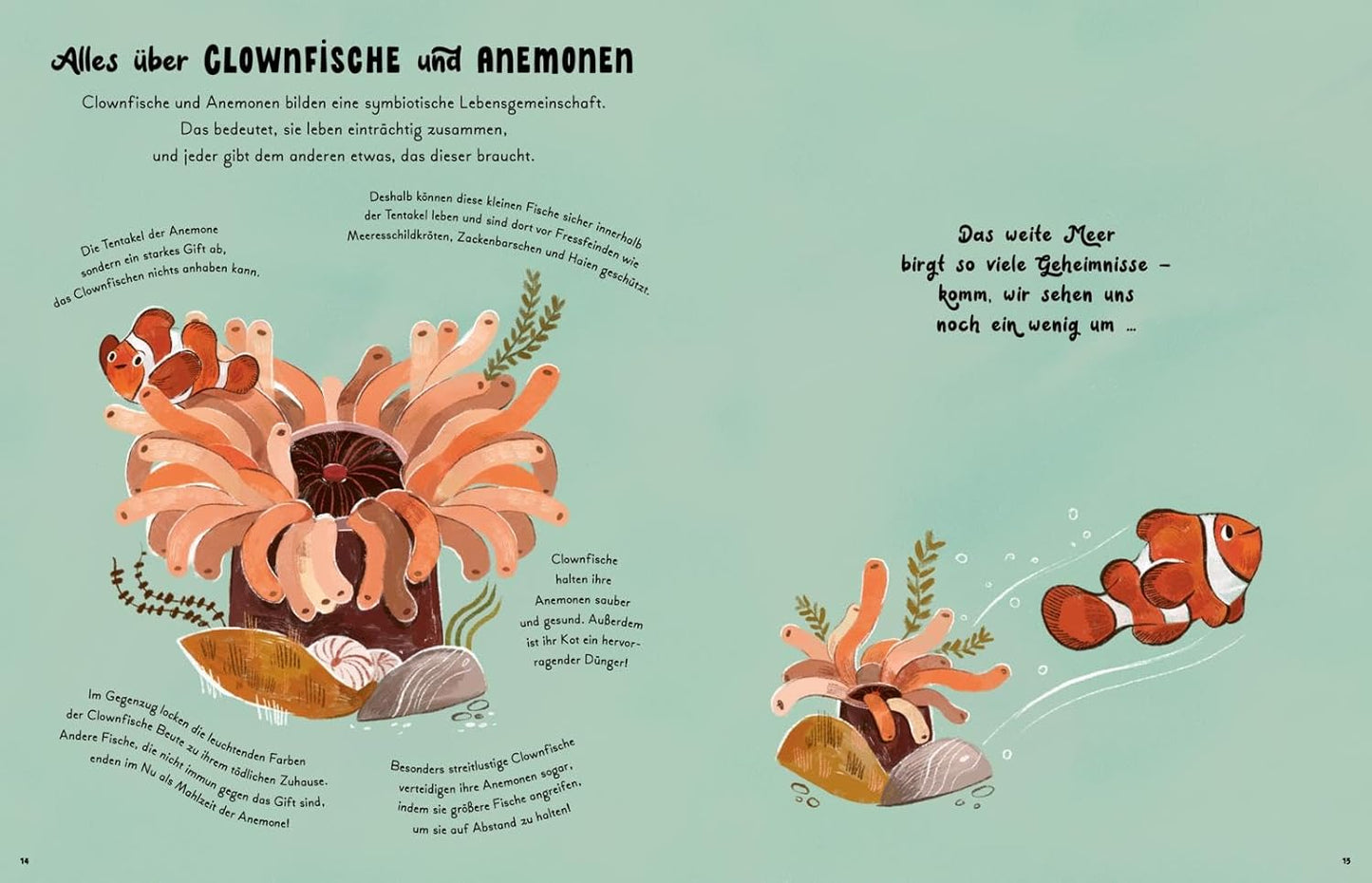 Kleine und große Wunder der Meere: Vorlesegeschichten mit ganz viel Sachwissen | Für Kinder ab 4 Jahren