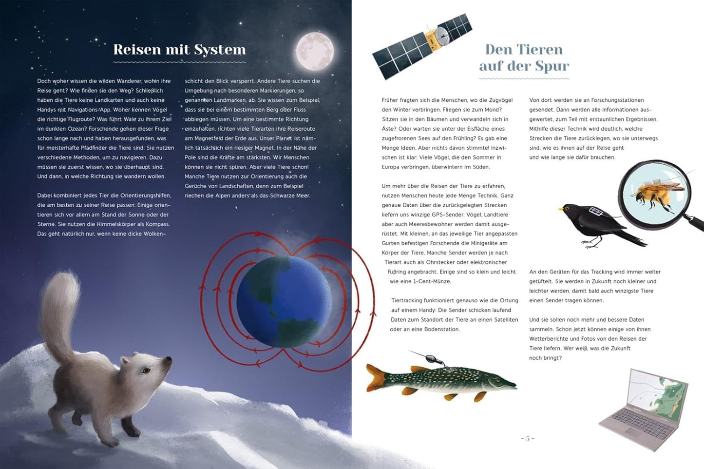 Wilde Wanderer: Folge den Tieren auf ihren abenteuerlichen Reisen | Spektakuläre Tierwanderungen in der Luft, an Land und im Wasser - ein Kindersachbuch ab 5 Jahren