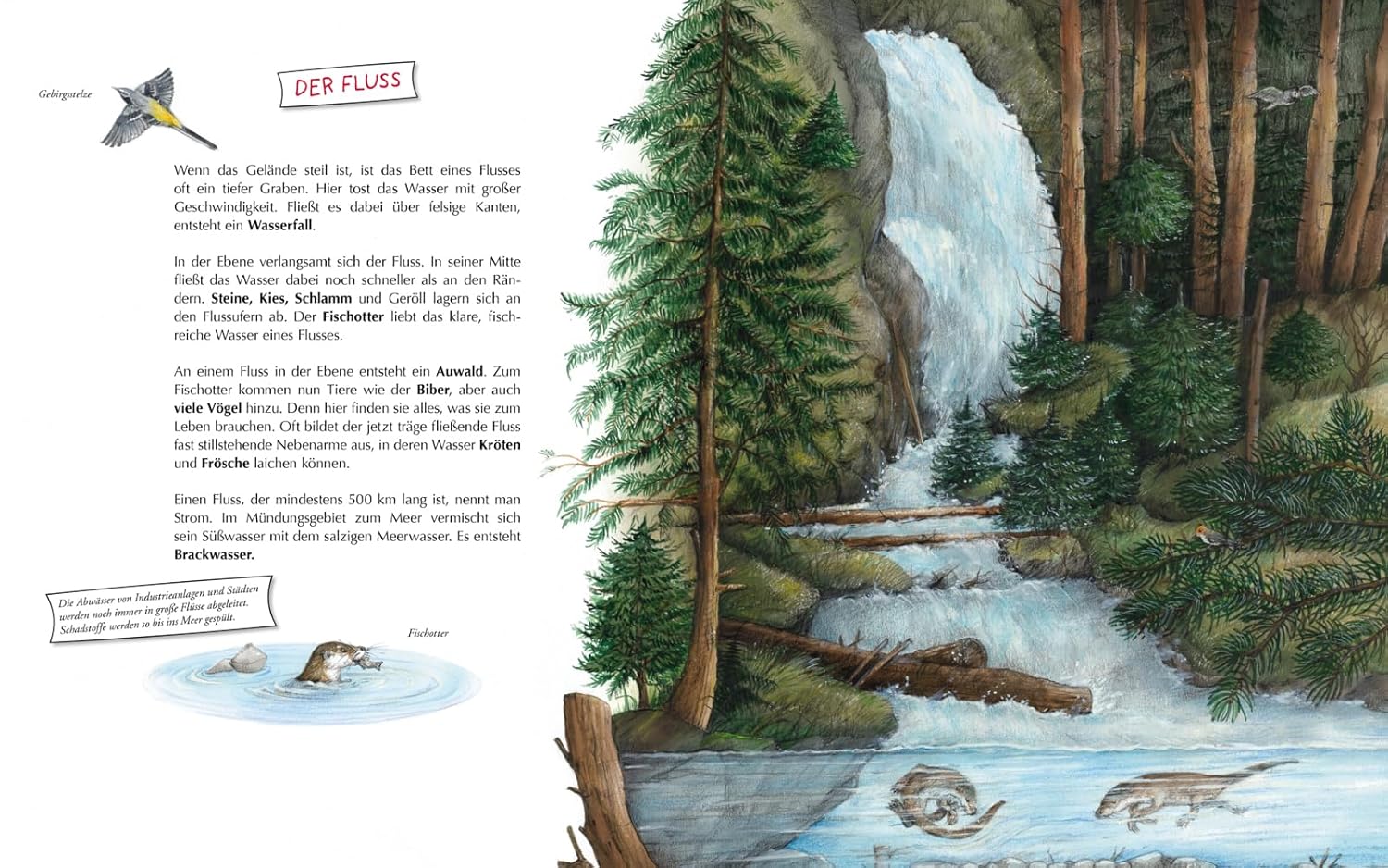 Illustrated page from a book showing a forest with a waterfall, trees, and animals.
