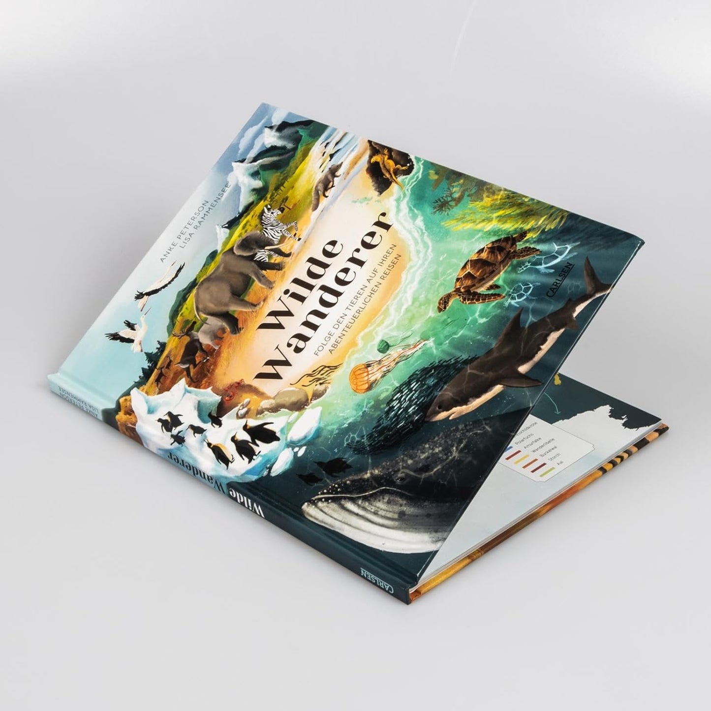 Wilde Wanderer: Folge den Tieren auf ihren abenteuerlichen Reisen | Spektakuläre Tierwanderungen in der Luft, an Land und im Wasser - ein Kindersachbuch ab 5 Jahren