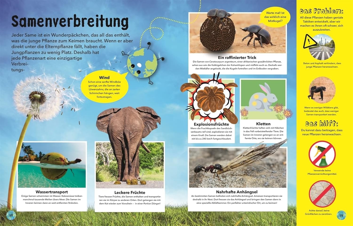 Educational book page about plant reproduction with images and text in German.