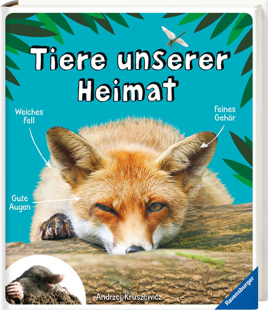 Tiere unserer Heimat