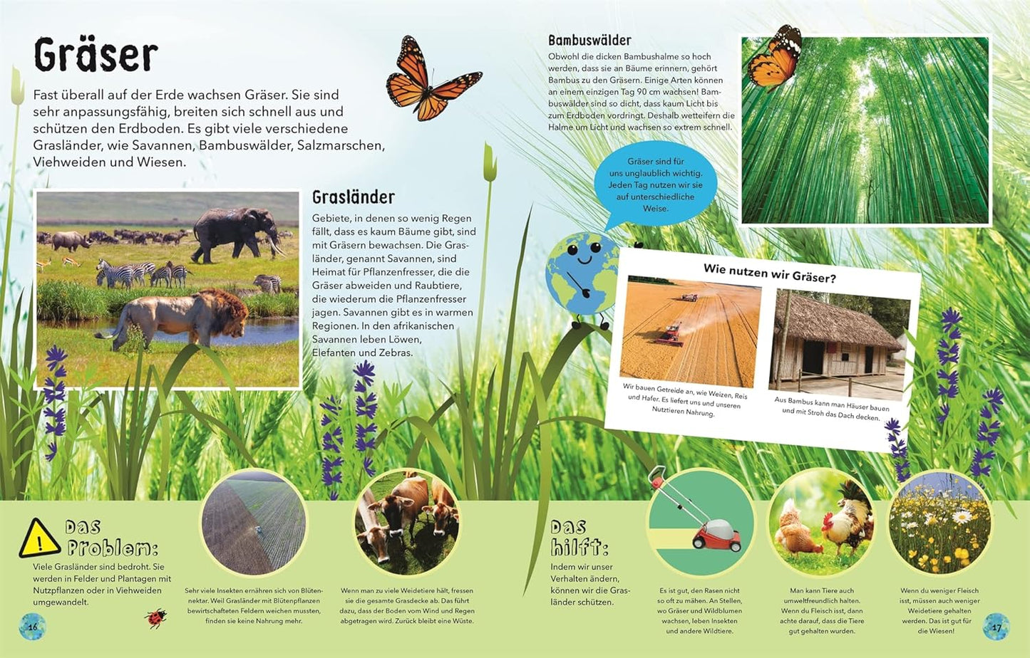 Educational brochure about grasslands with images and text on a green background