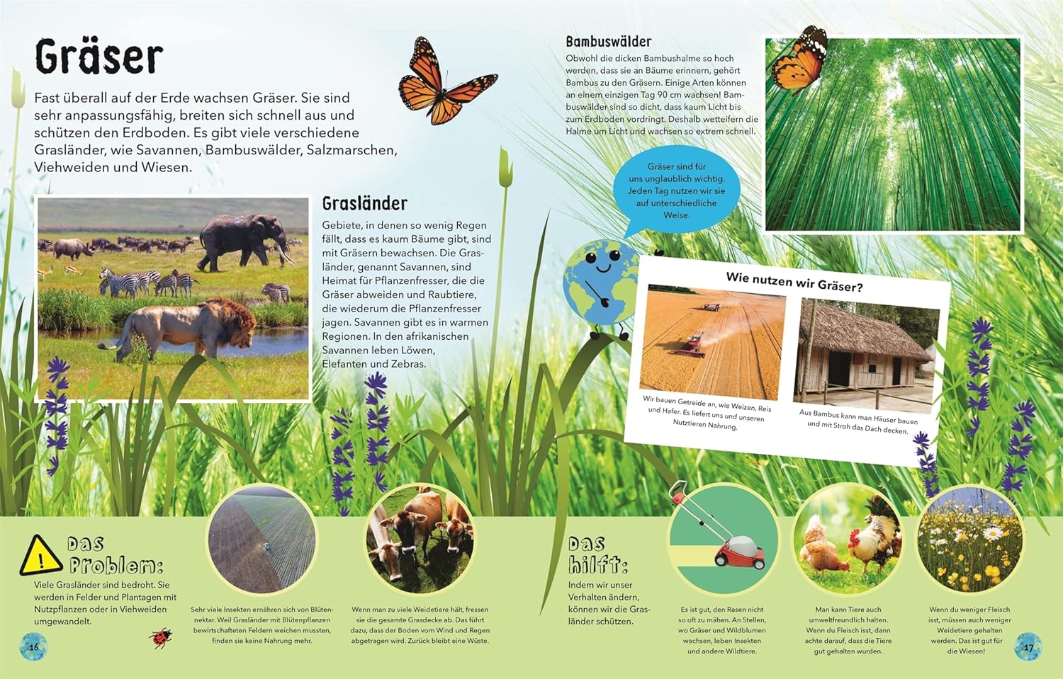 Educational brochure about grasslands with images and text on a green background