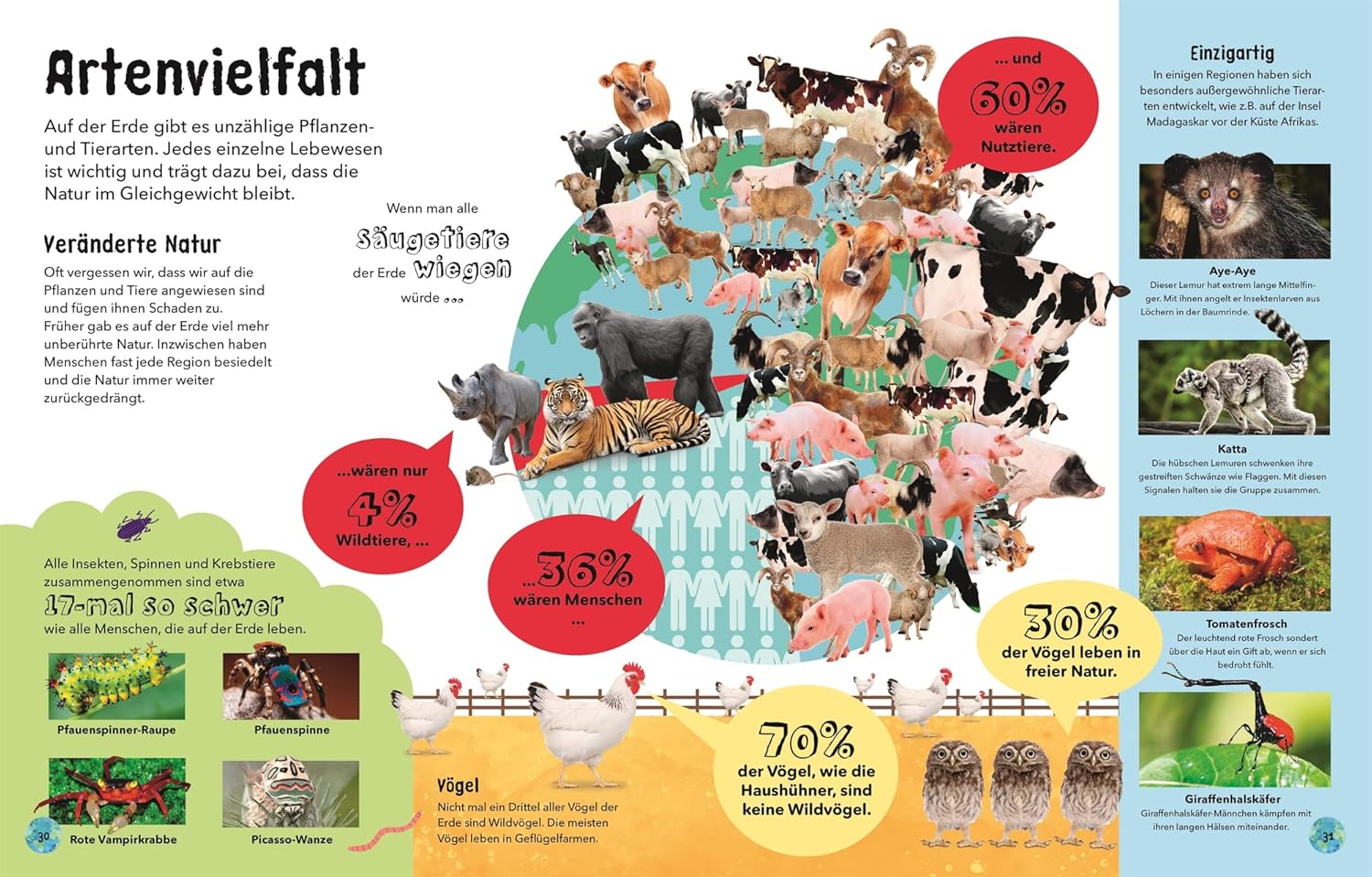 Infographic with animals and statistics on a blue background