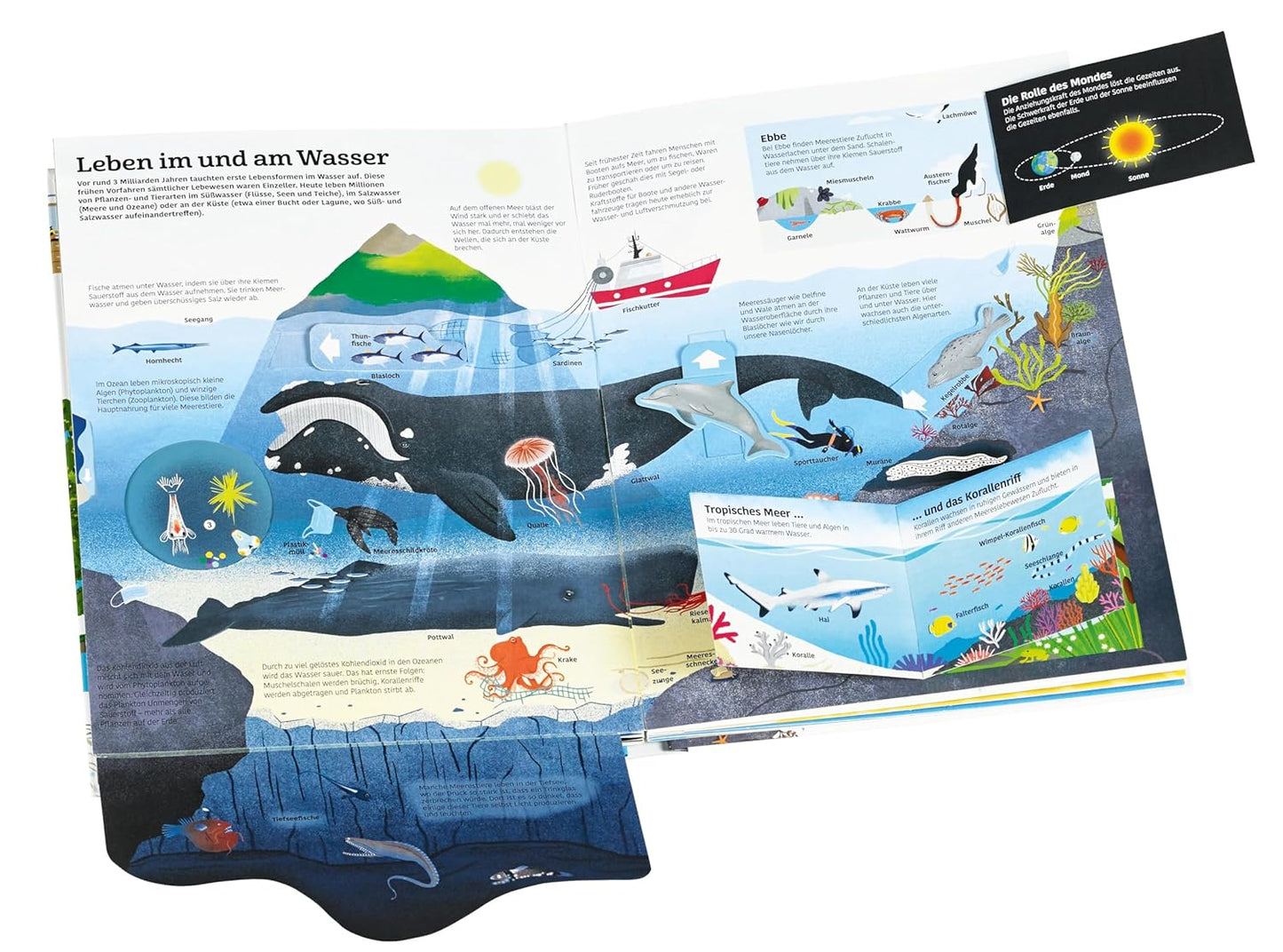 Mein großes Buch vom Wasser: Über 60 Klappen und Spielelemente