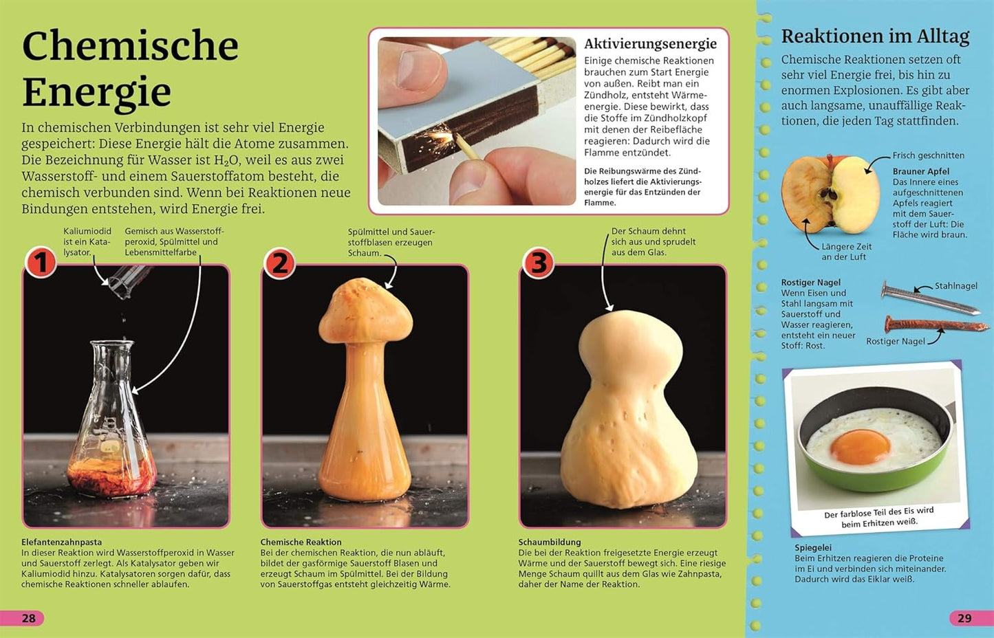 Superchecker! Energie: Was willst du heute wissen? Coole Fakten, Steckbriefe und Rekorde. Für Kinder ab 7 Jahren