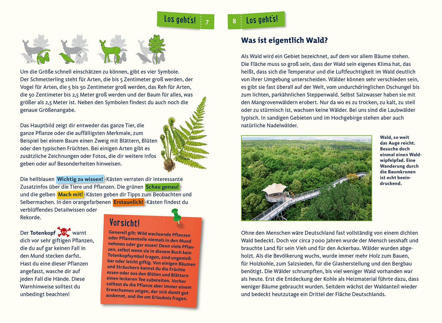 Was lebt im Wald? Kindernaturführer: 85 heimische Tiere und Pflanzen