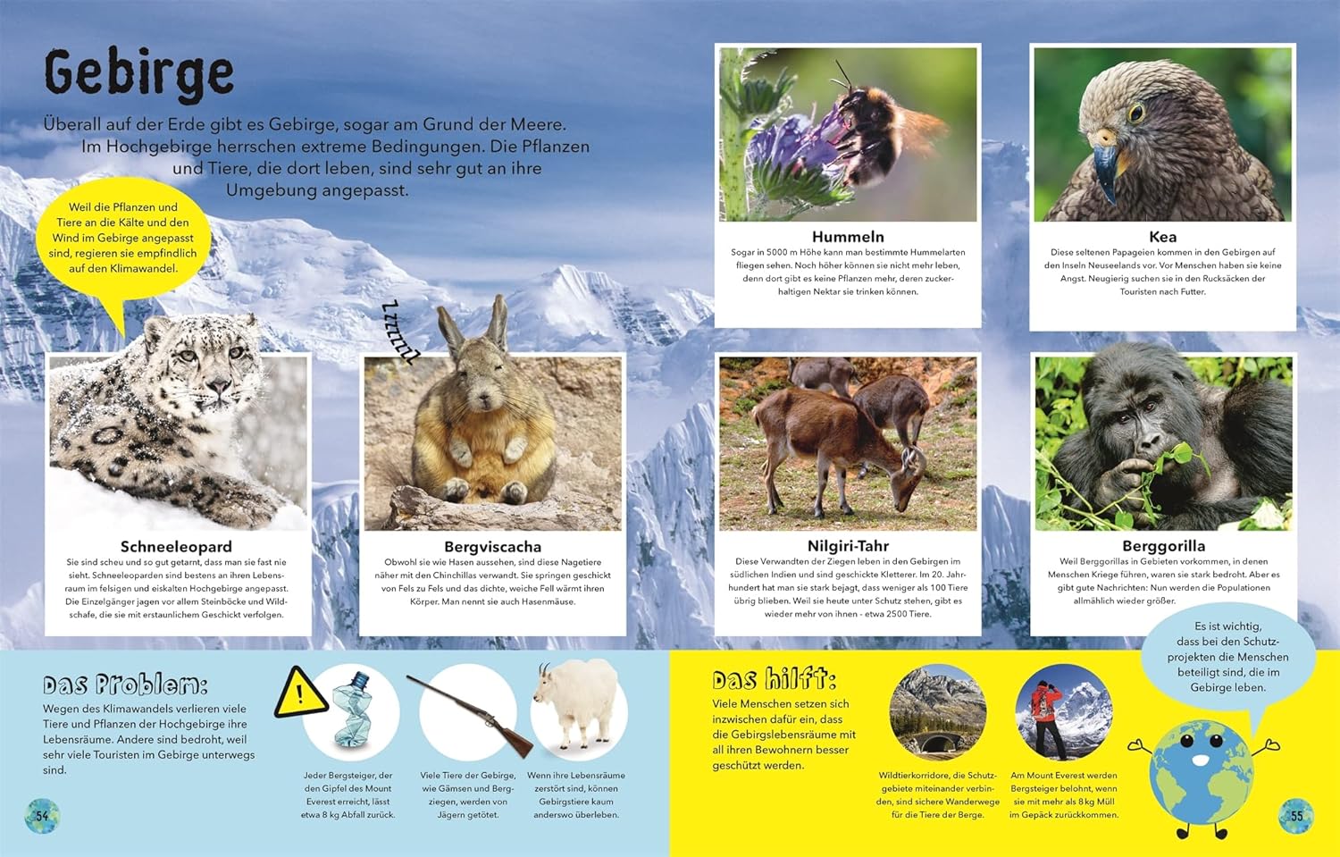 Educational page about mountain animals with images and text in German